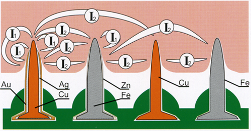 Схематическое изображение электрических ионных токов, возникающих на кончиках игл и между иглами из разных металлов, сопровождающихся электрофорезом (диффузией) этих металлов во внутреннюю среду организма.